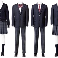 Japanese High School Uniform: History, Styles, and Cultural Significance