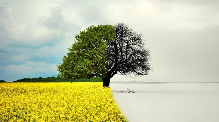 Winter and Spring Semesters: Development and Growth