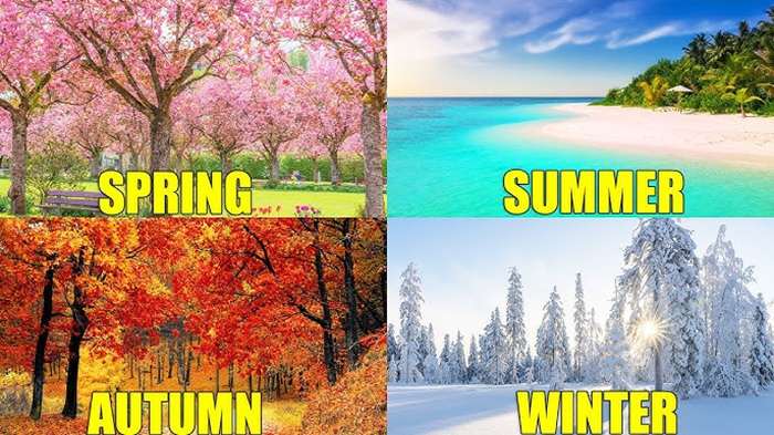 Winter and Spring Semesters