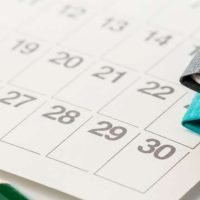 203 School Calendar: A Year of Learning, Connection and Bright Moments